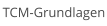 TCM-Grundlagen